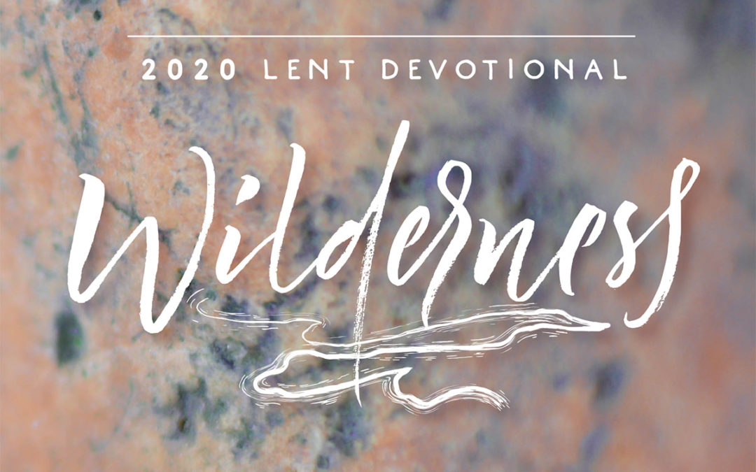 Poem on Wilderness: Third Week of Lent