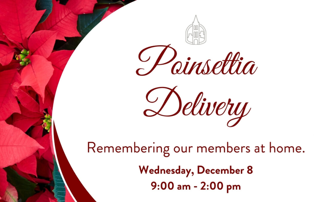 Poinsettia Delivery December 8